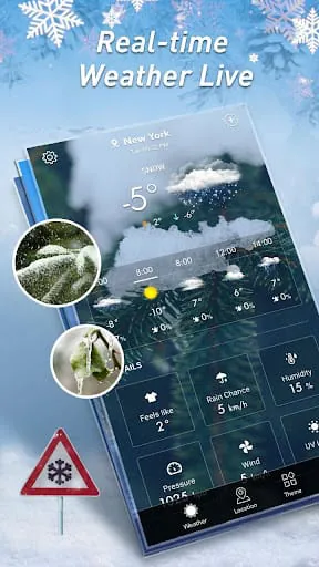 Local Weather