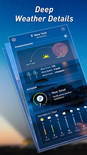 Local Weather