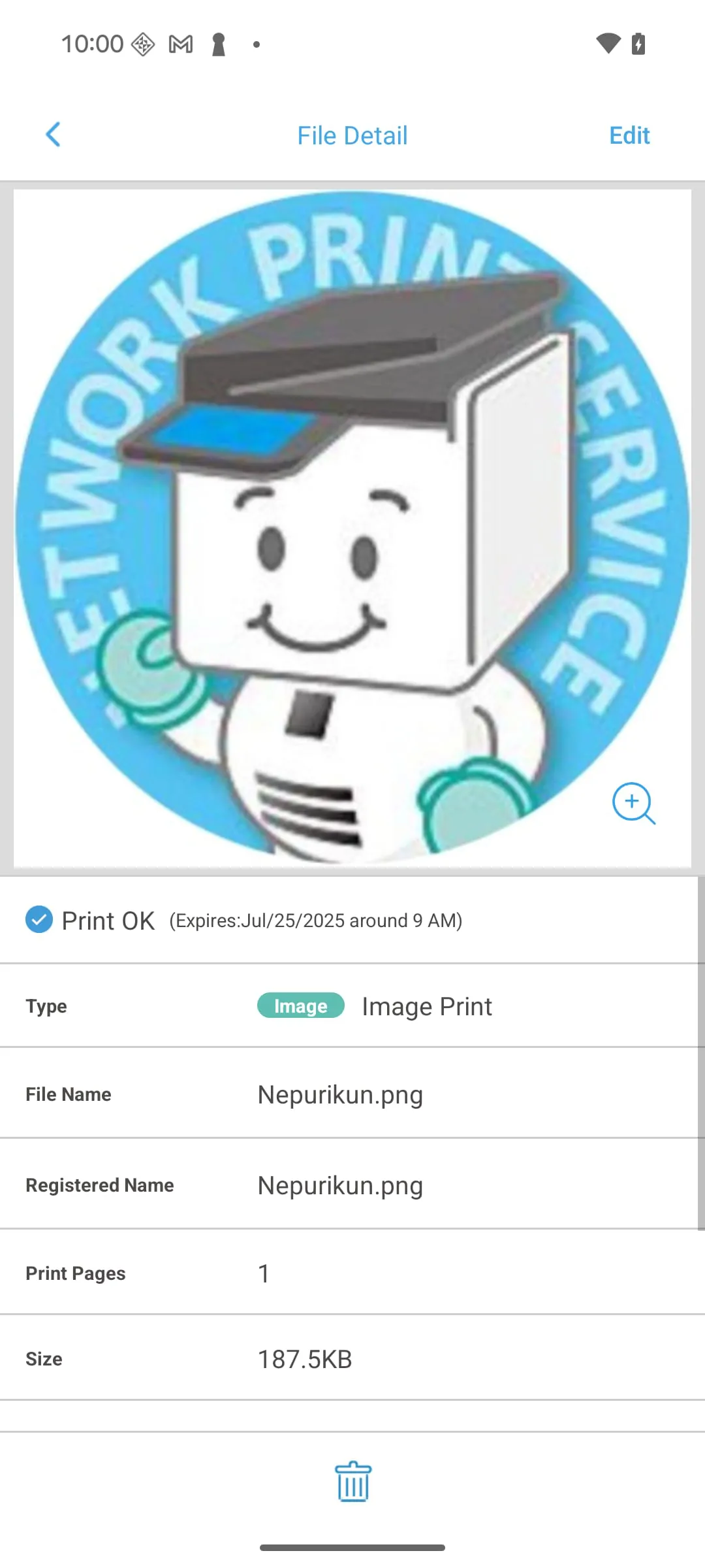 Network Print