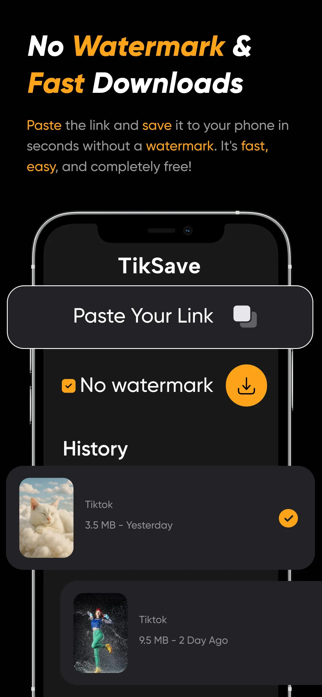 Video Downloader for TikTok