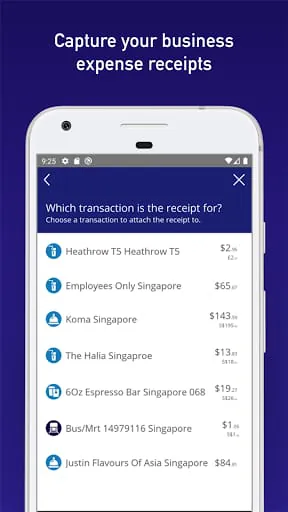 Visa Commercial Pay