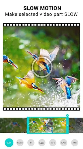 Video Speed Changer