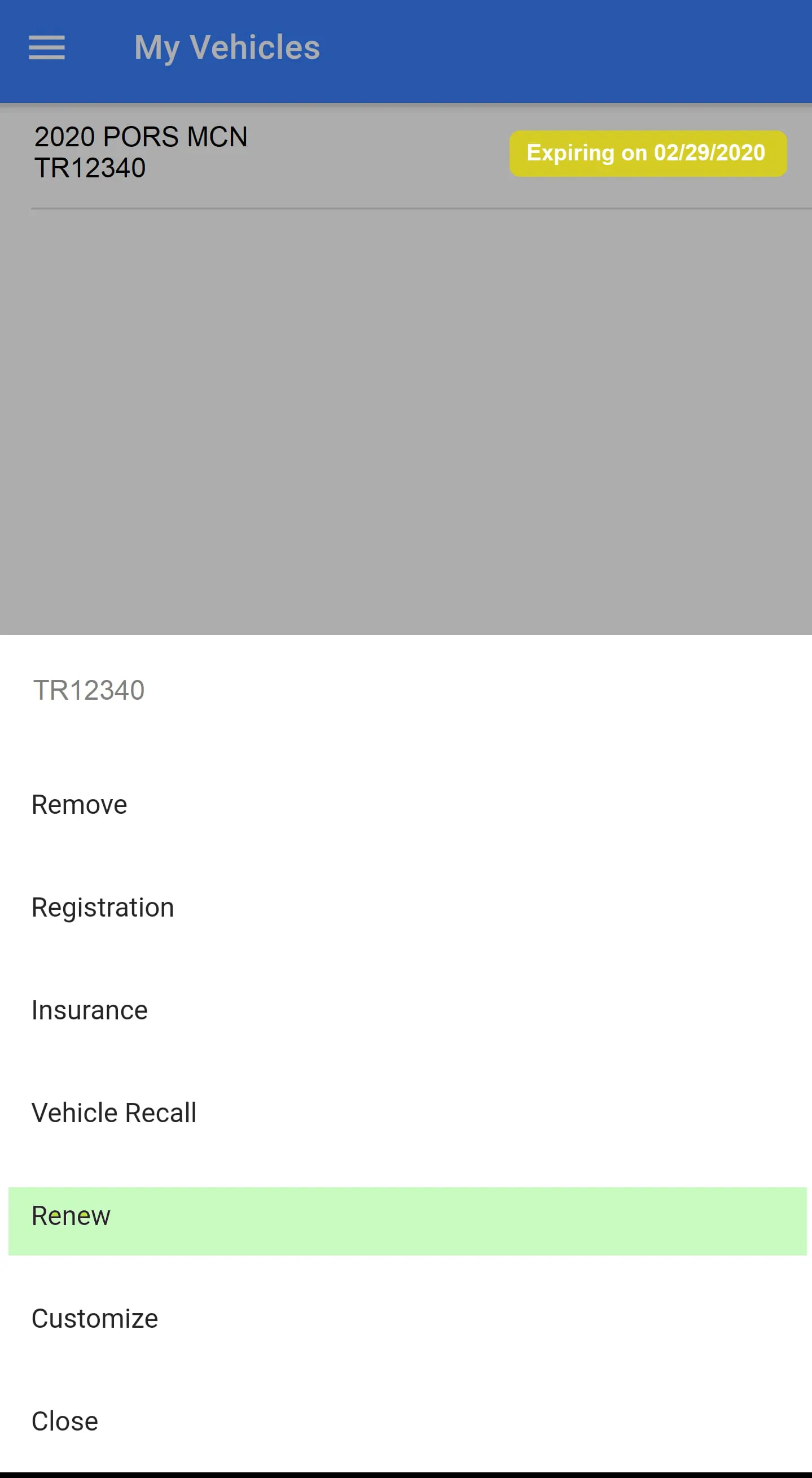 Auto Assistant