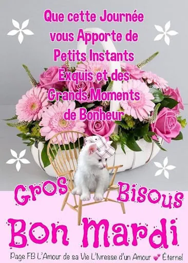 Bonjour Bonsoir Bonne Nuit