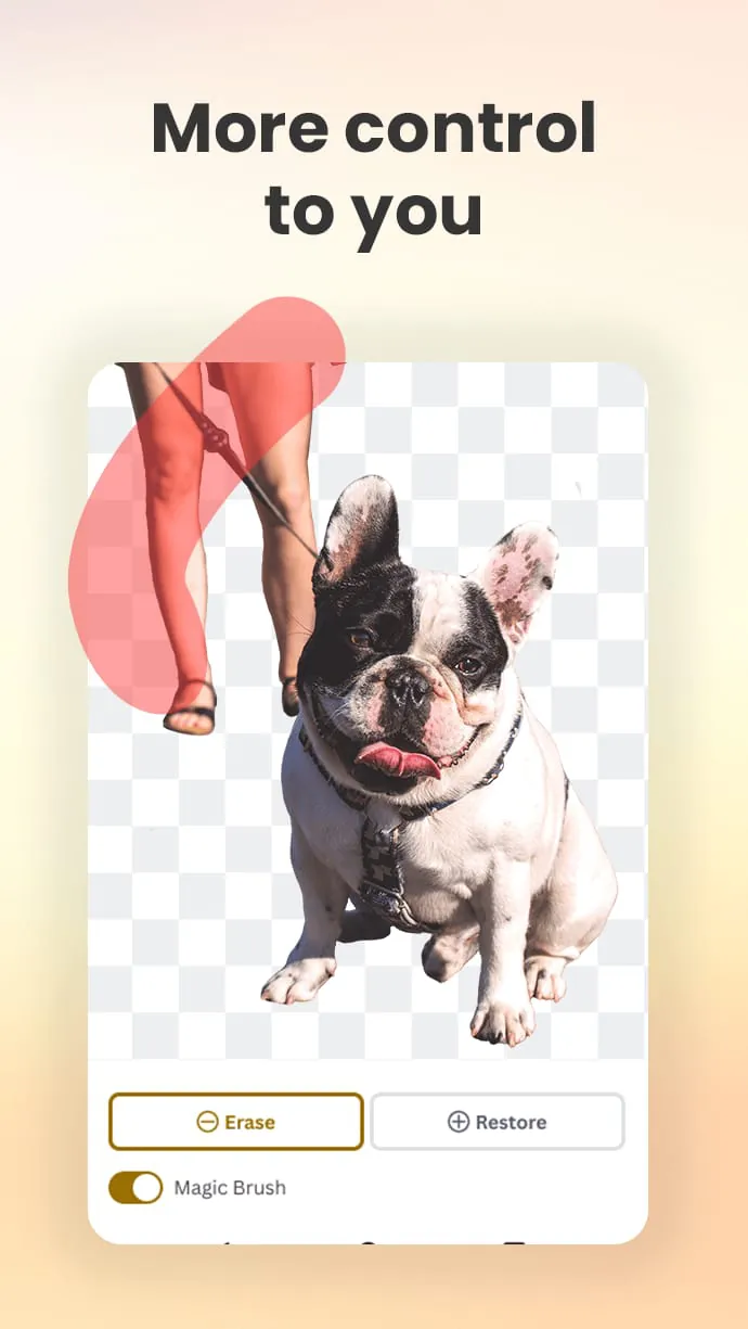 Background remover