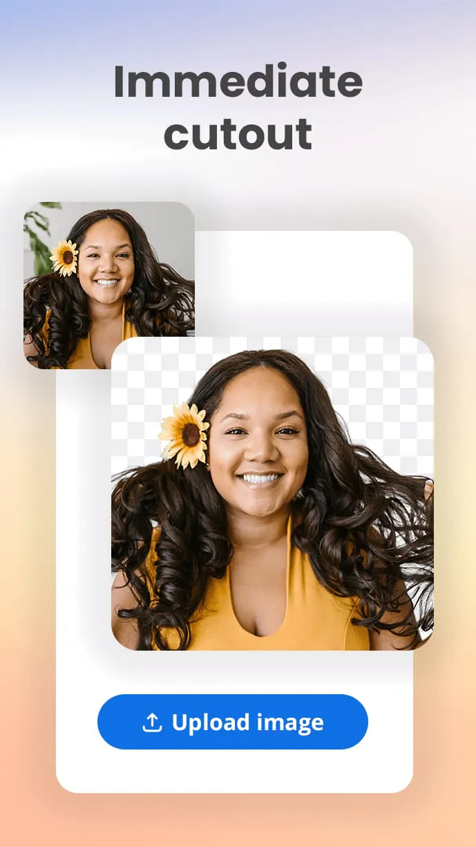 Background remover