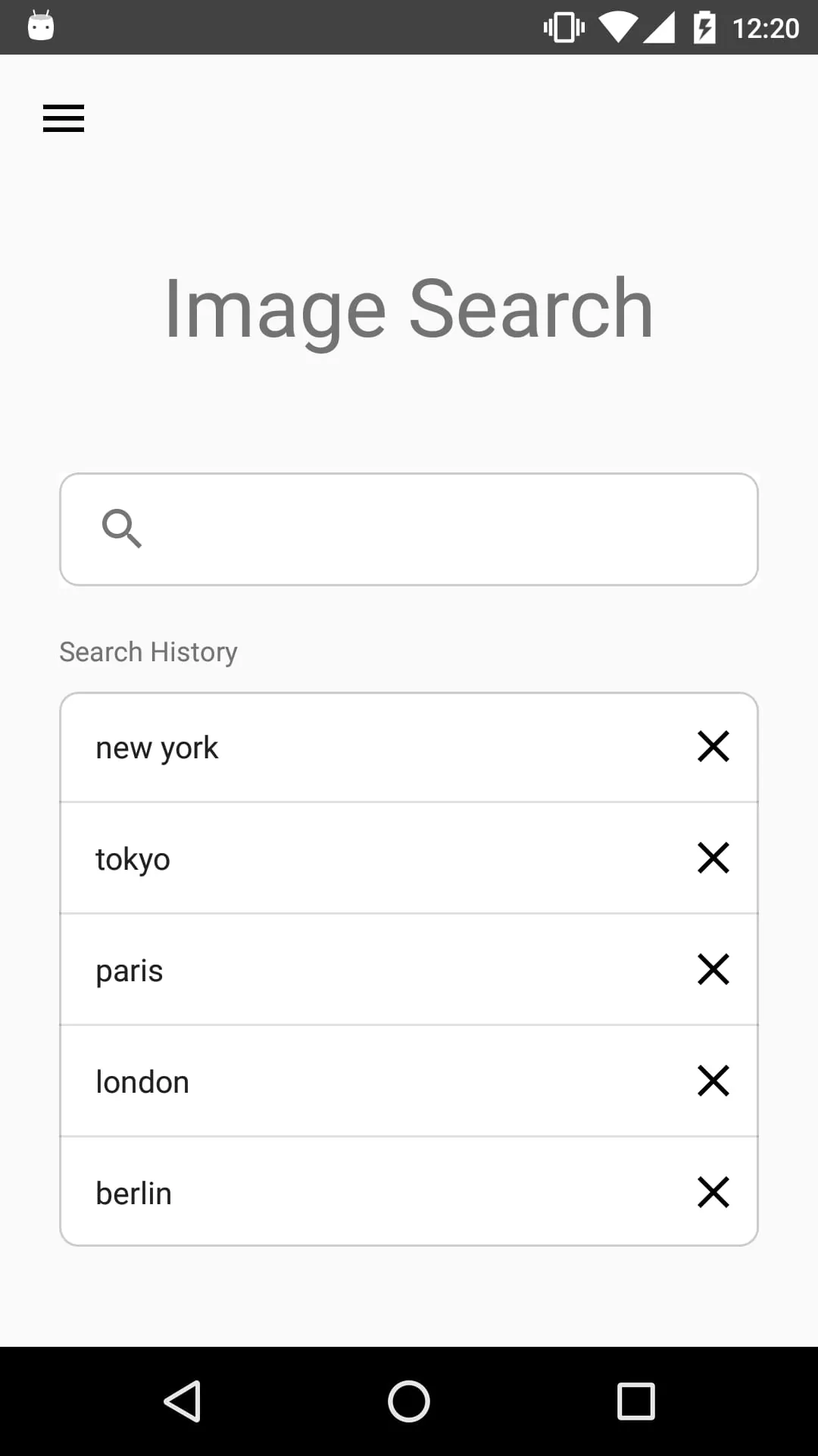 ImageSearchMan