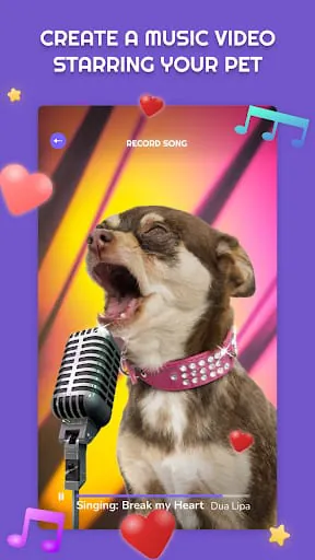 PetStar