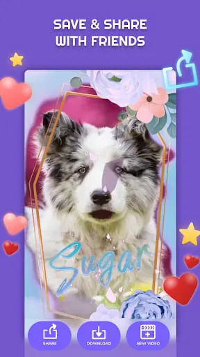 PetStar
