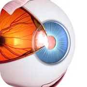 Vision Workout