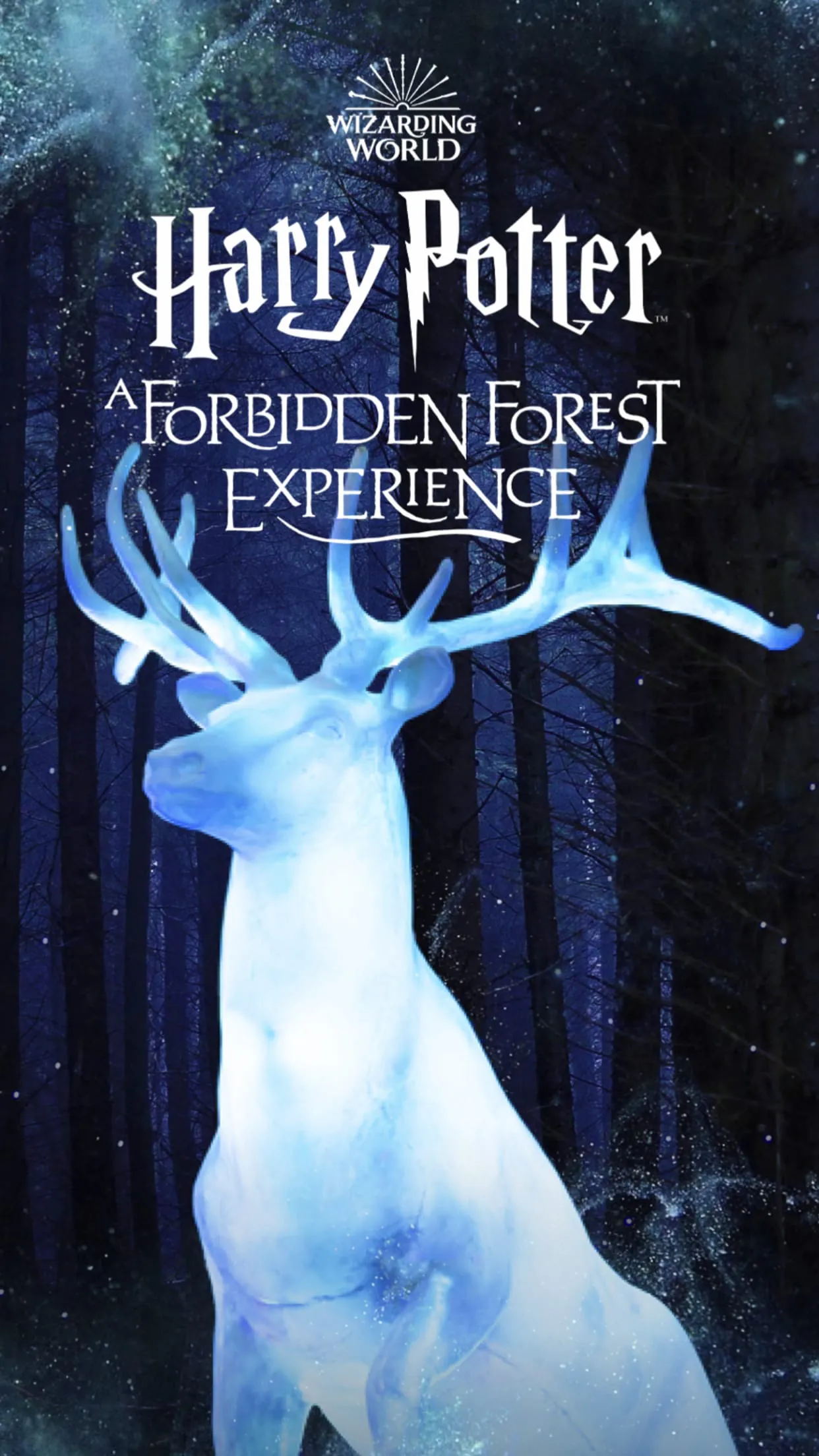 HP Forbidden Forest Experience