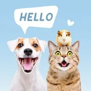 Pets Translator