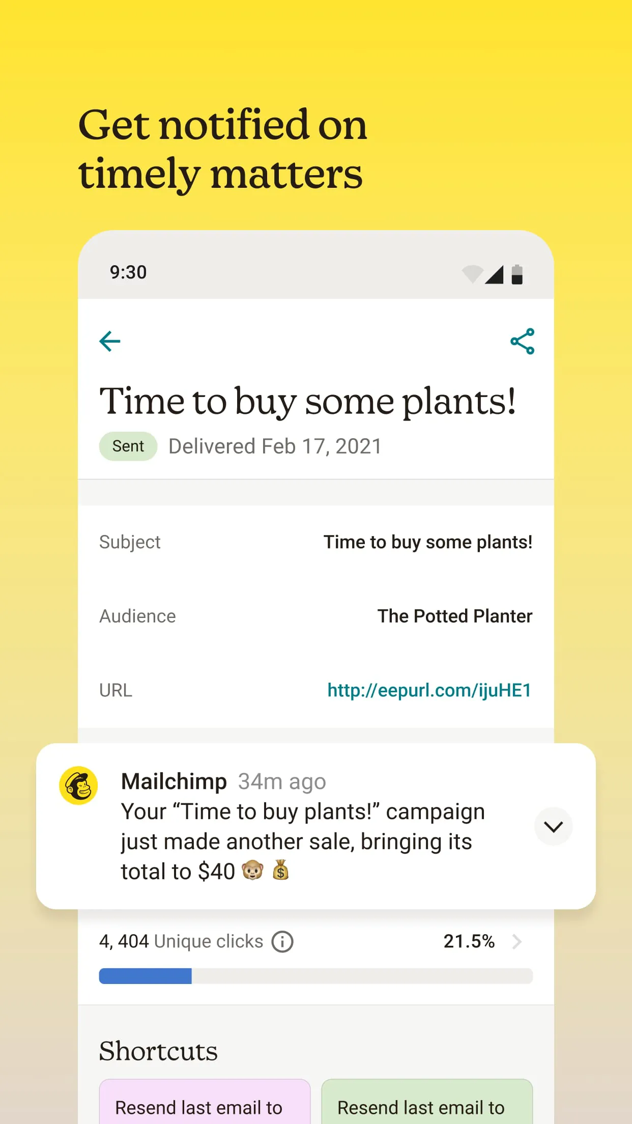 Mailchimp Email Marketing