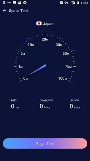 VPN