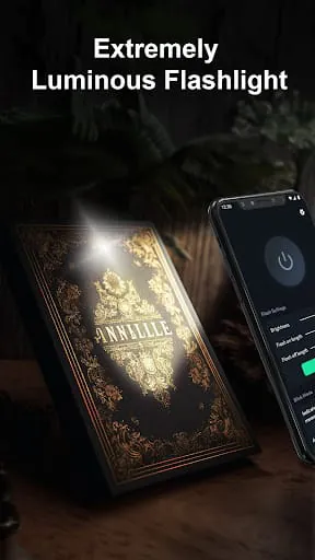Flashlight Pro