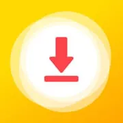 Video Downloader