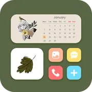 Widget 2026