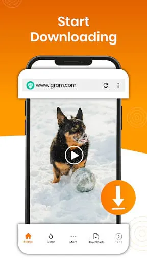 Super Browser