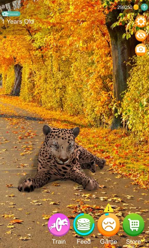 Talking Cheetah