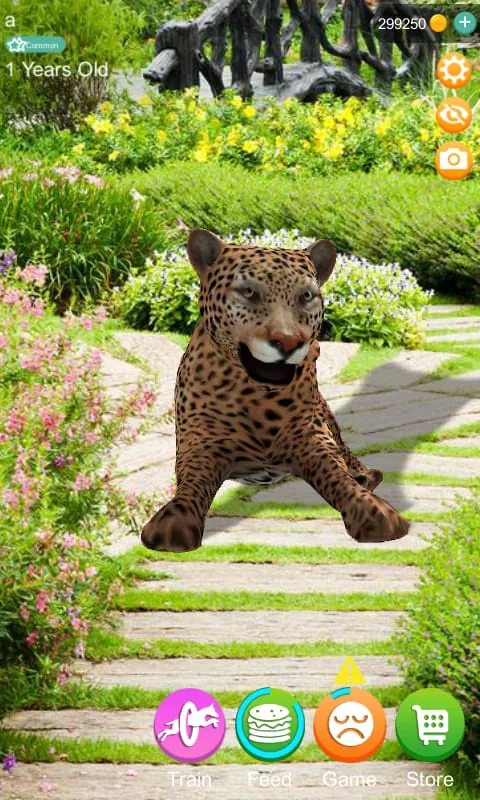 Talking Cheetah