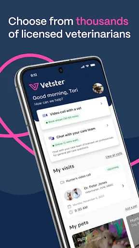 Vetster