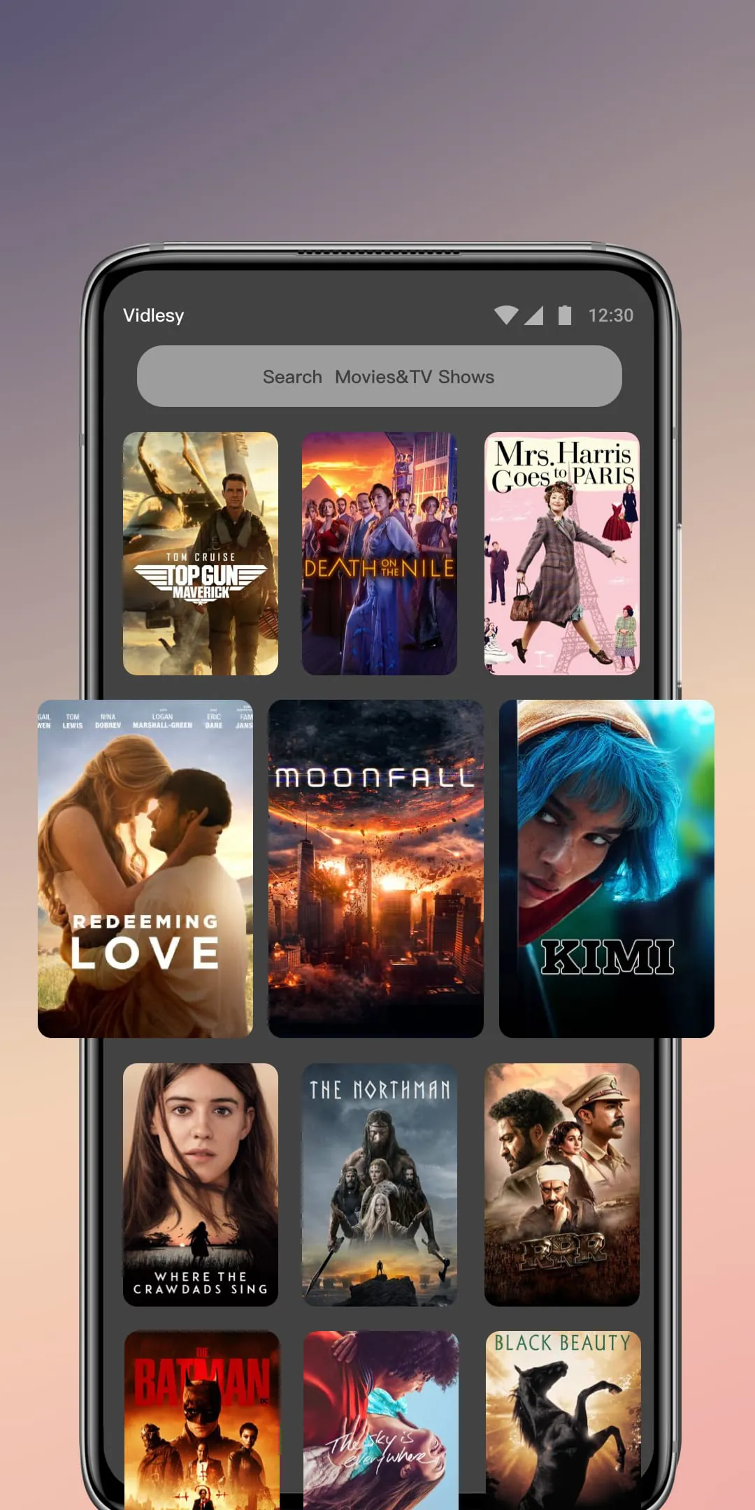 Vidlesy Movies