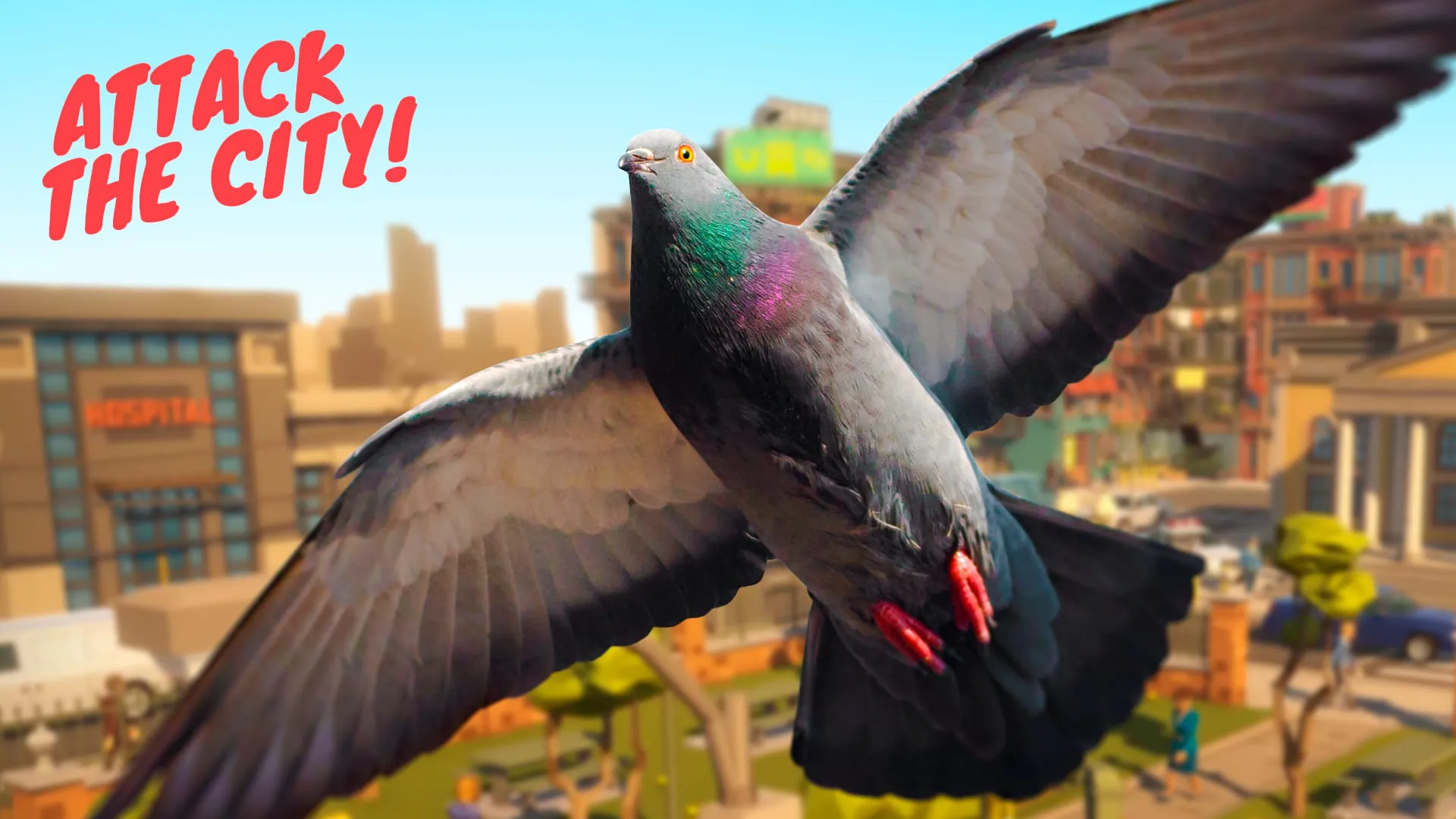 Pigeon