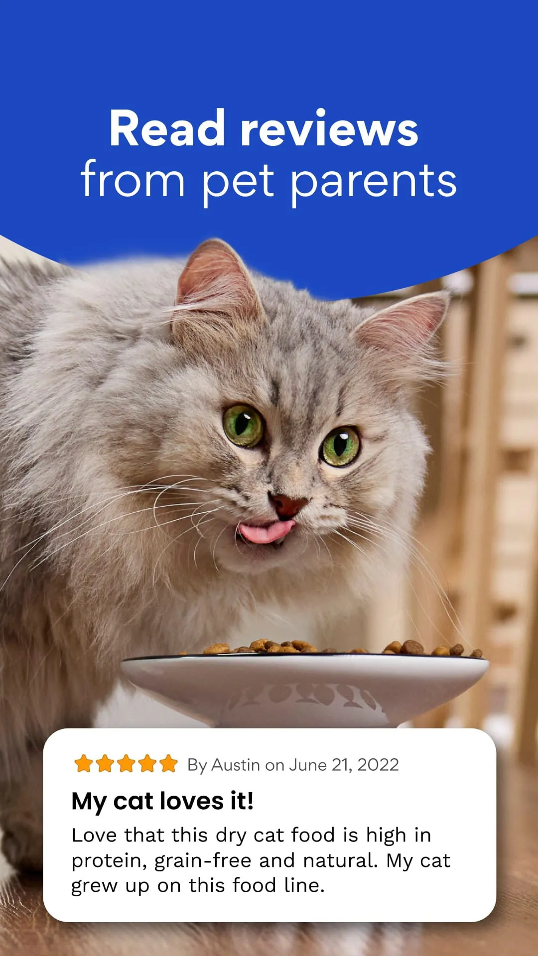 Chewy