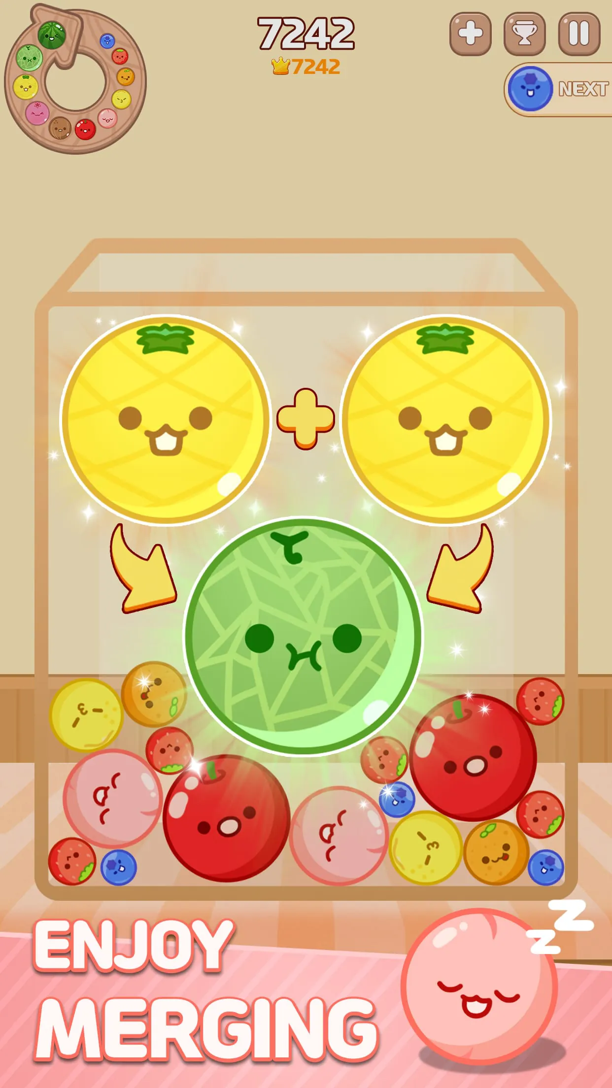 Melon Maker