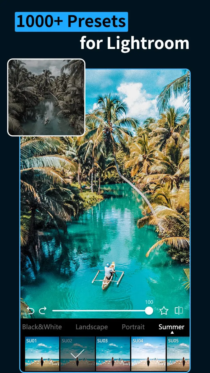 Presets & Filters