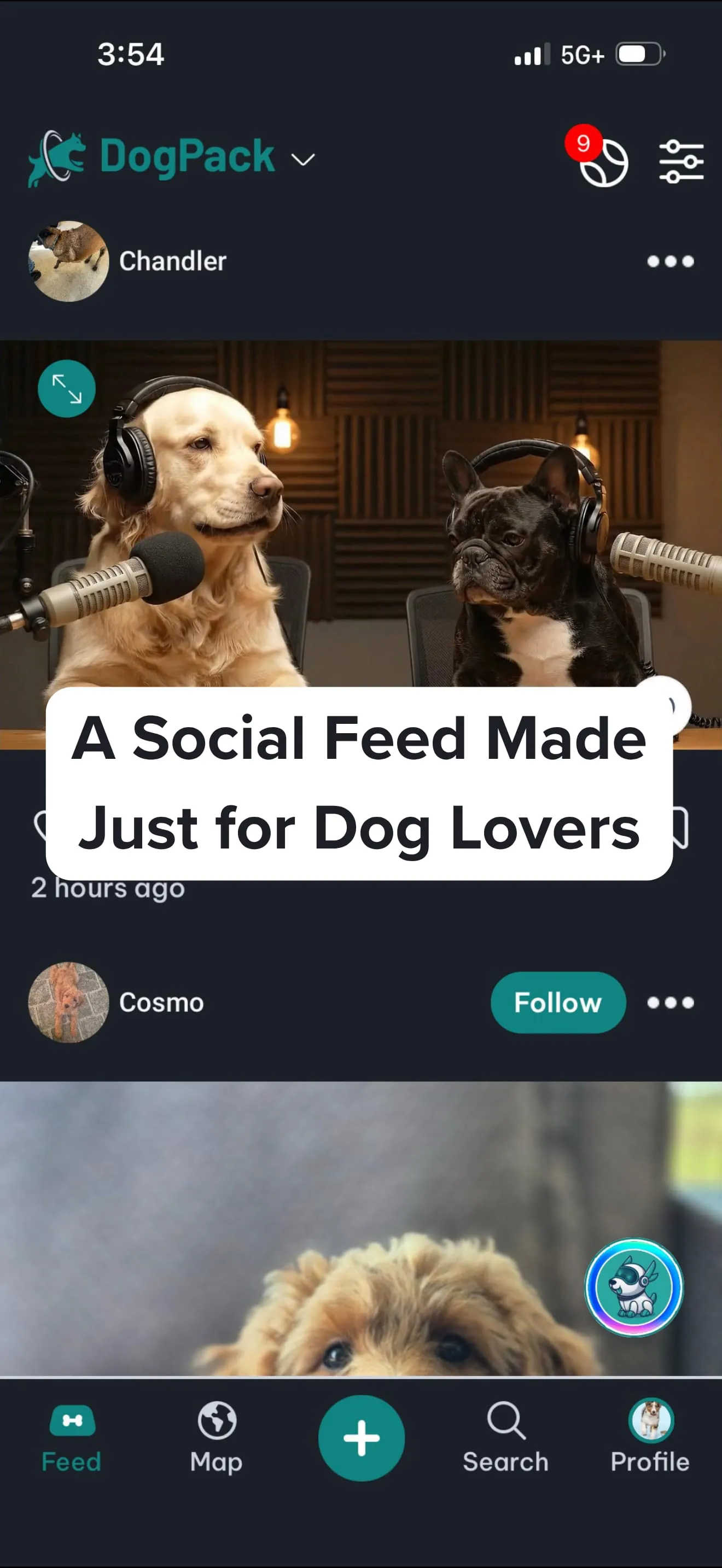 DogPack