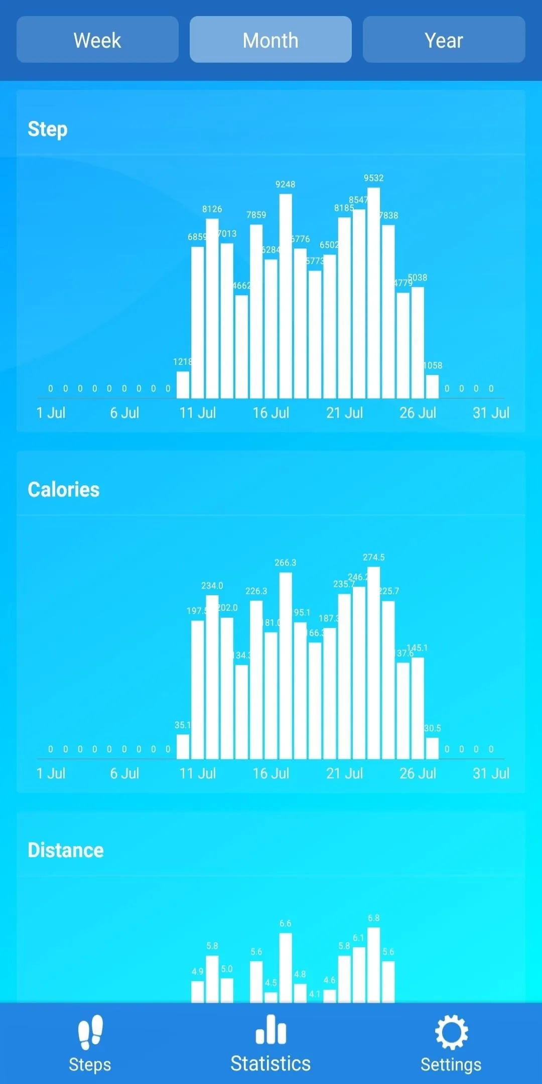Pedometer