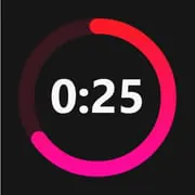 Interval Timer