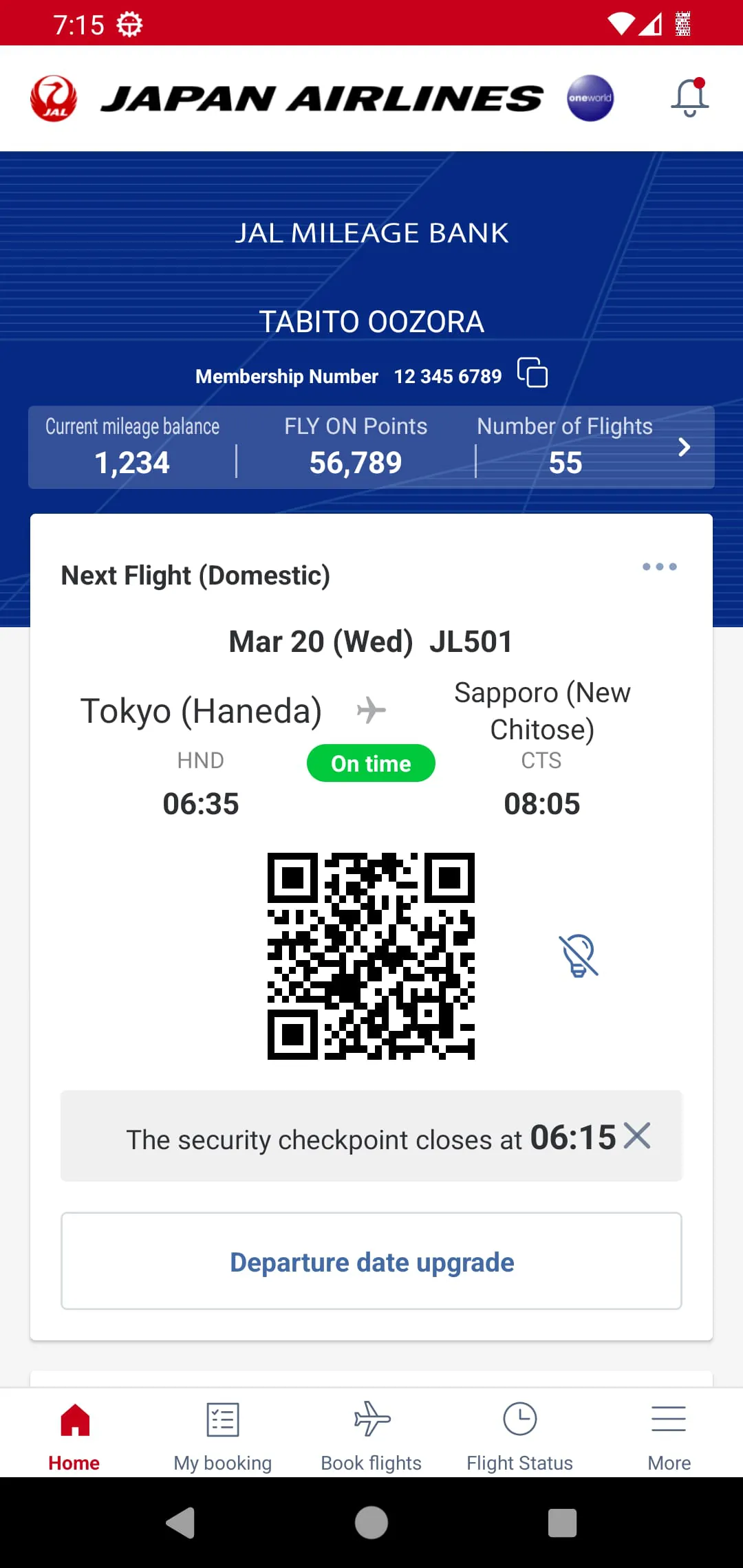 Japan Airlines