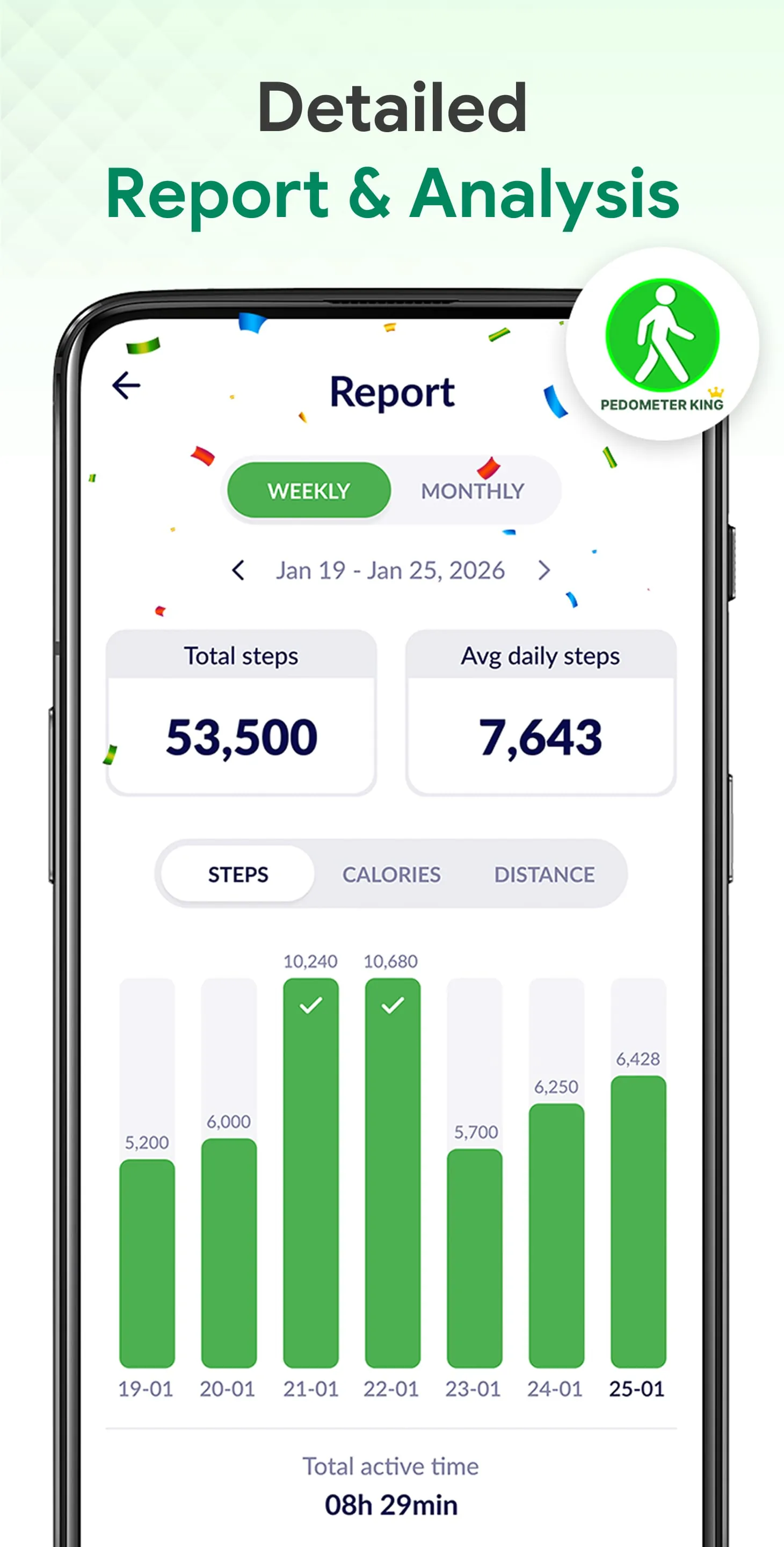 Pedometer King