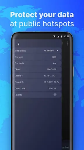 Private & Secure VPN