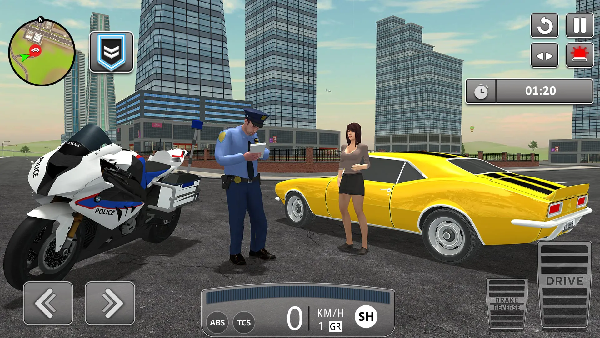 Police Simulator