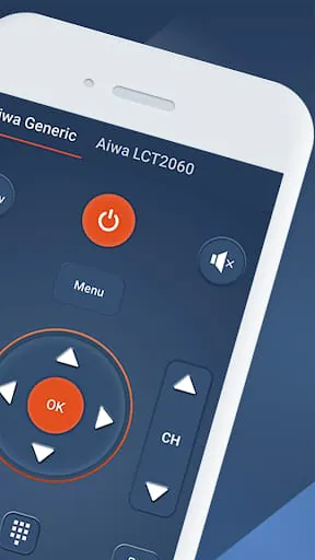 Universal TV Remote