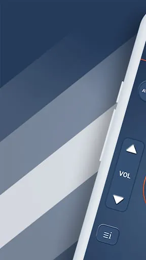 Universal TV Remote