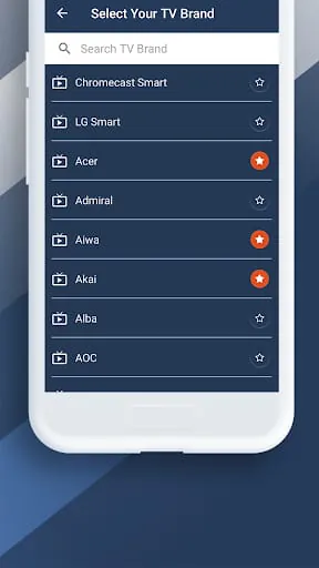Universal TV Remote
