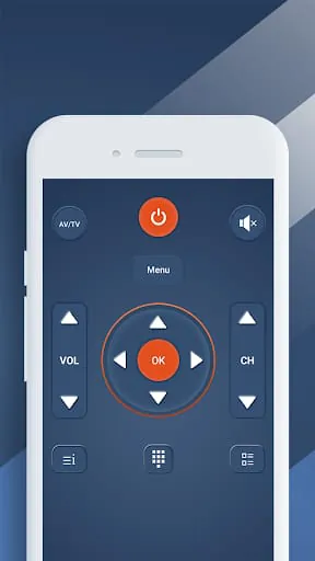 Universal TV Remote
