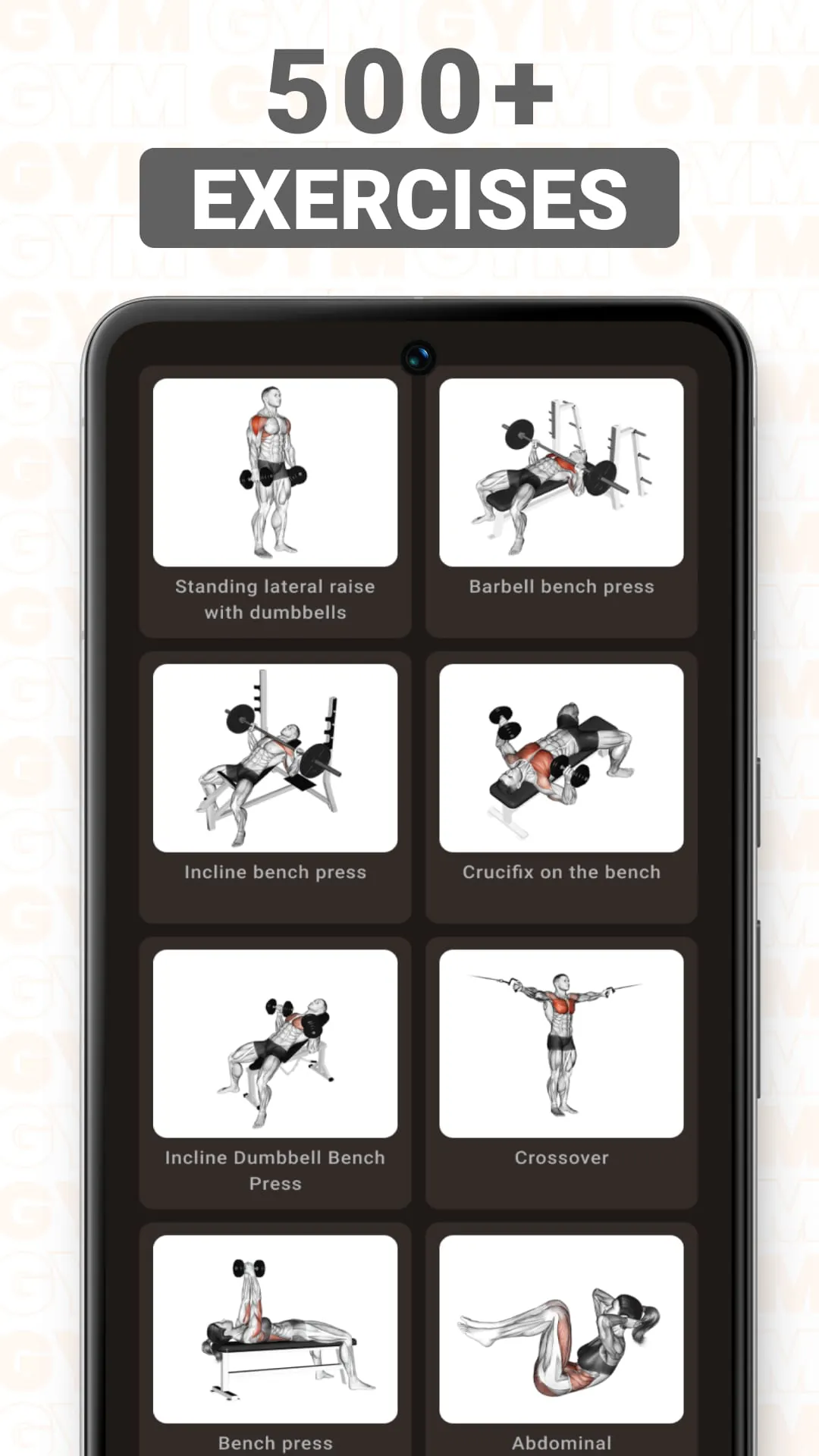 Gym WP