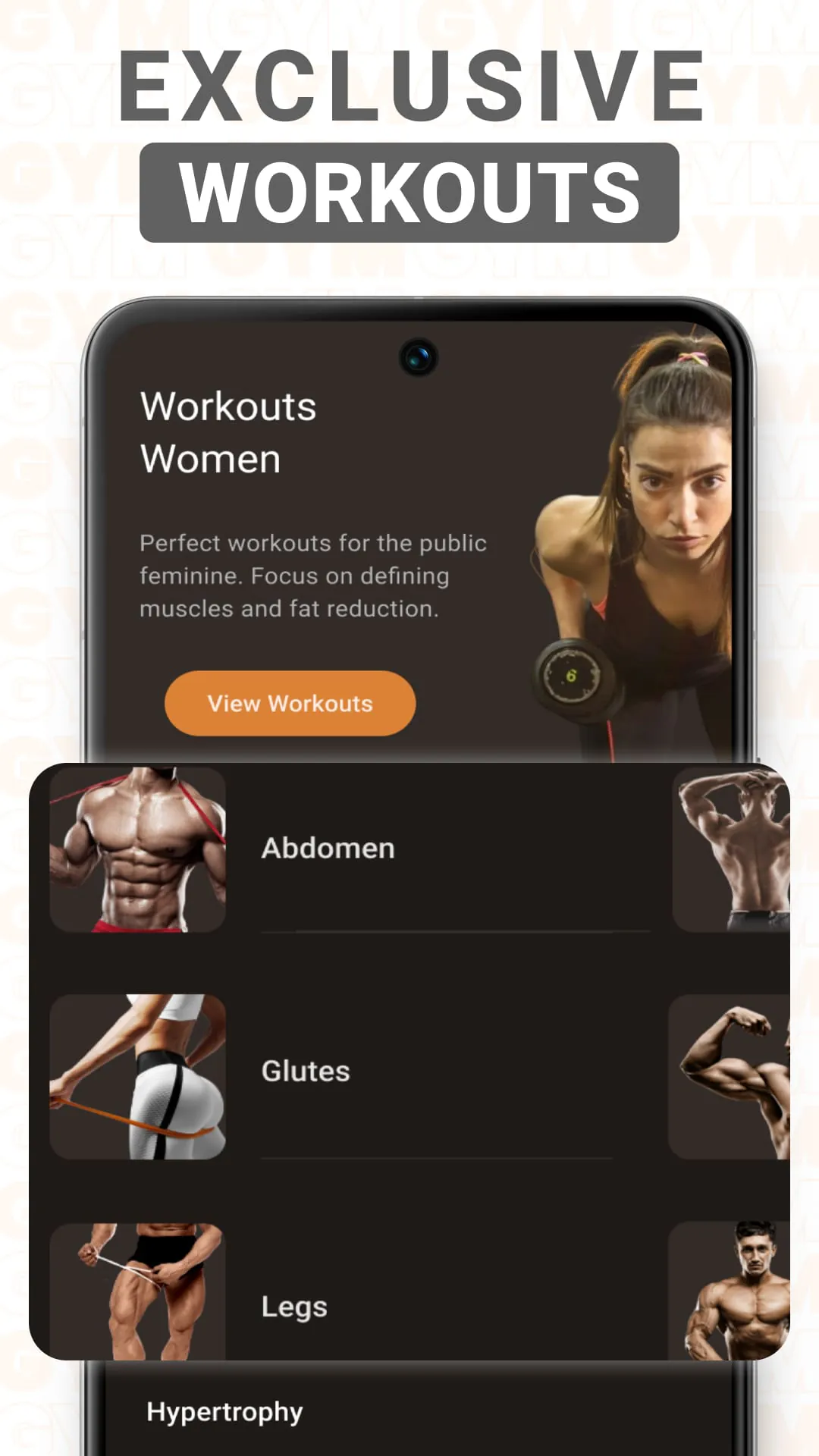 Gym WP