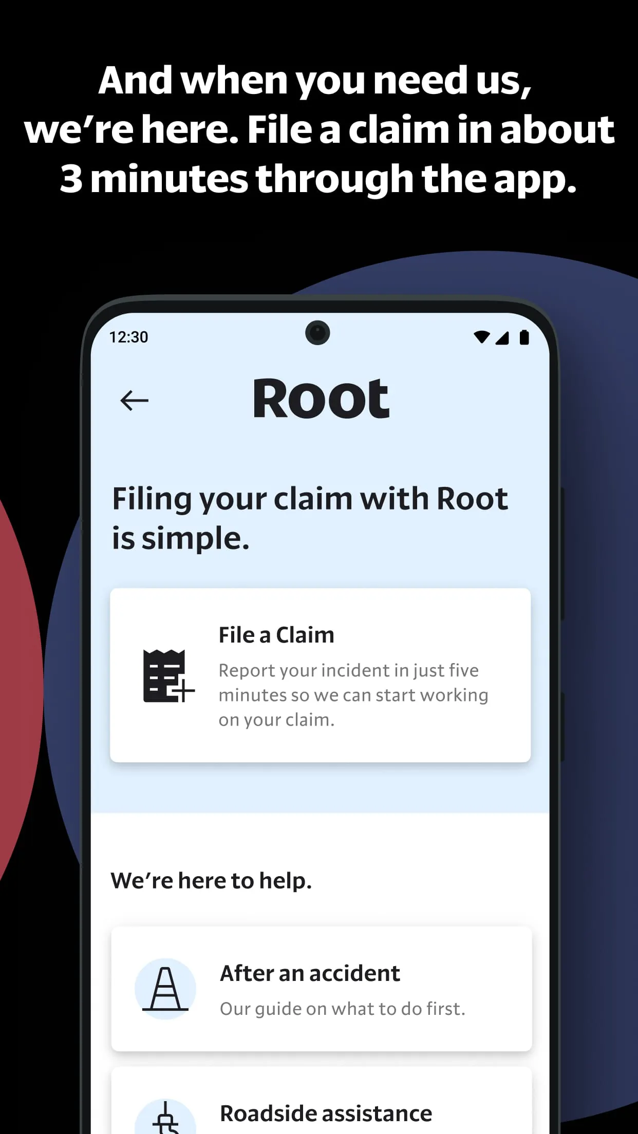 Root