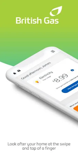 British Gas