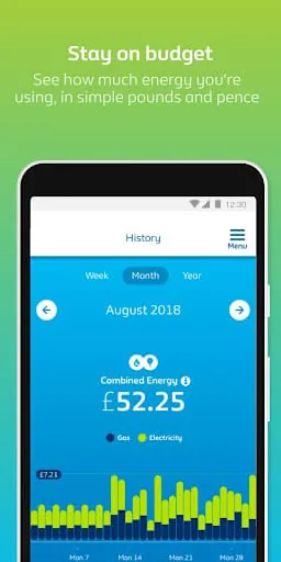 British Gas