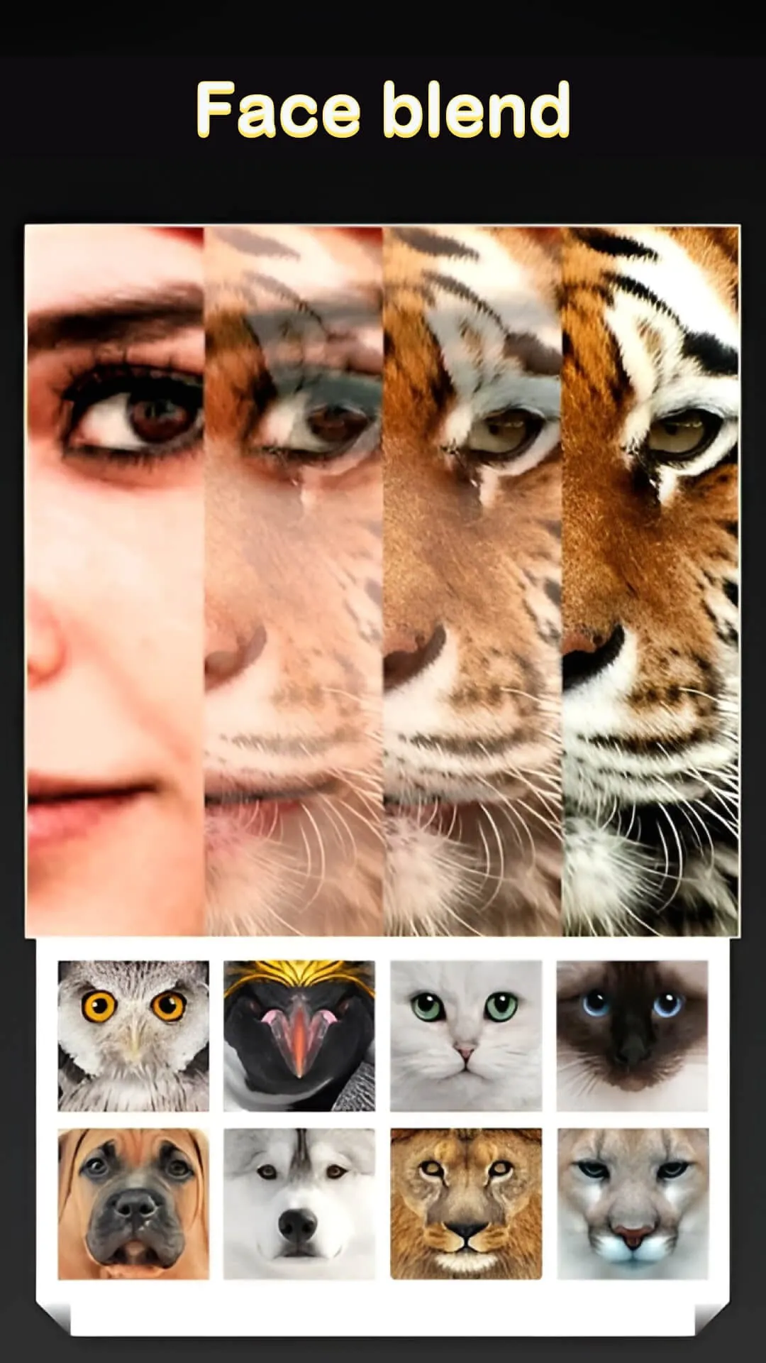 Beauty Face Plus