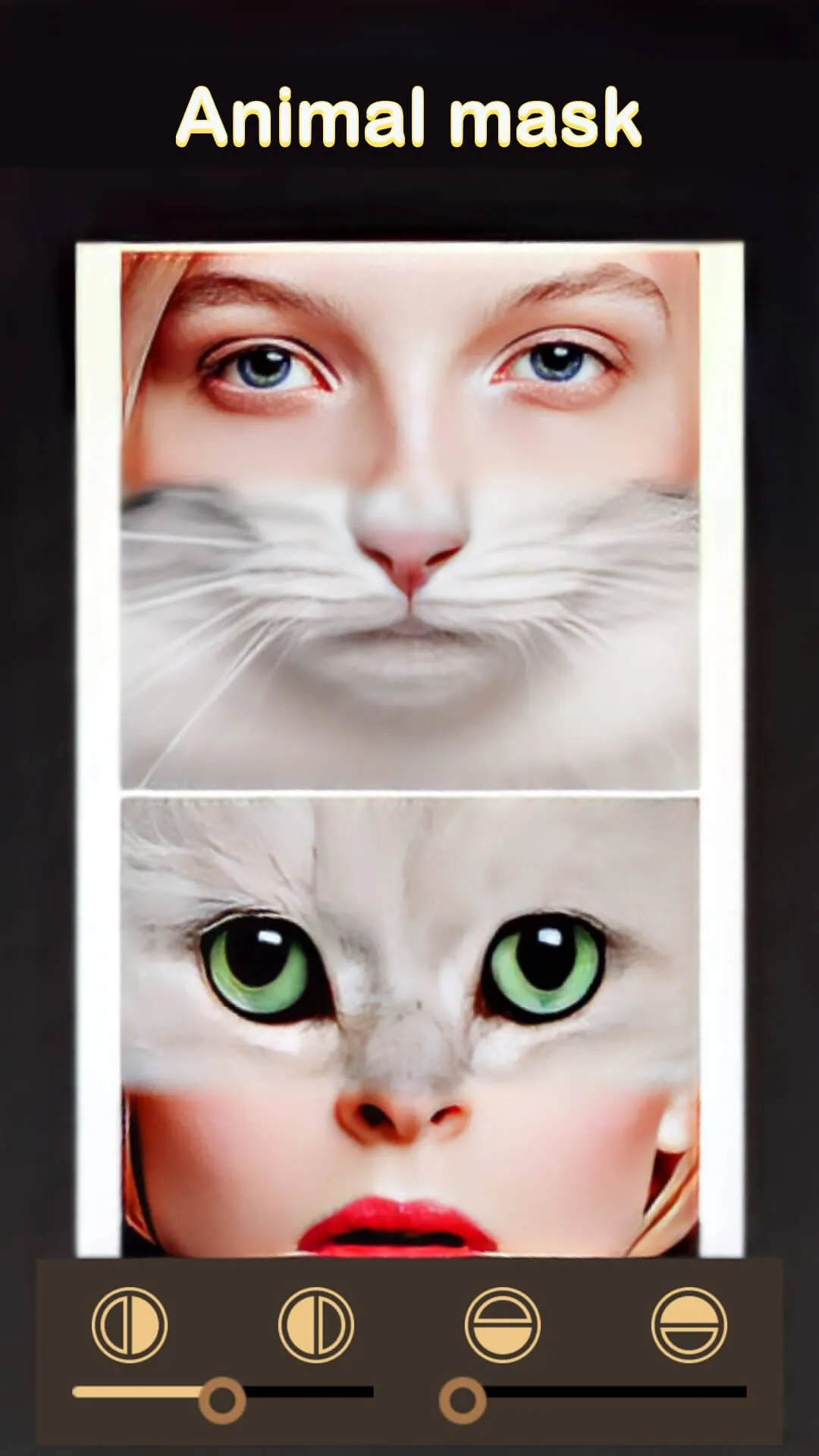 Beauty Face Plus