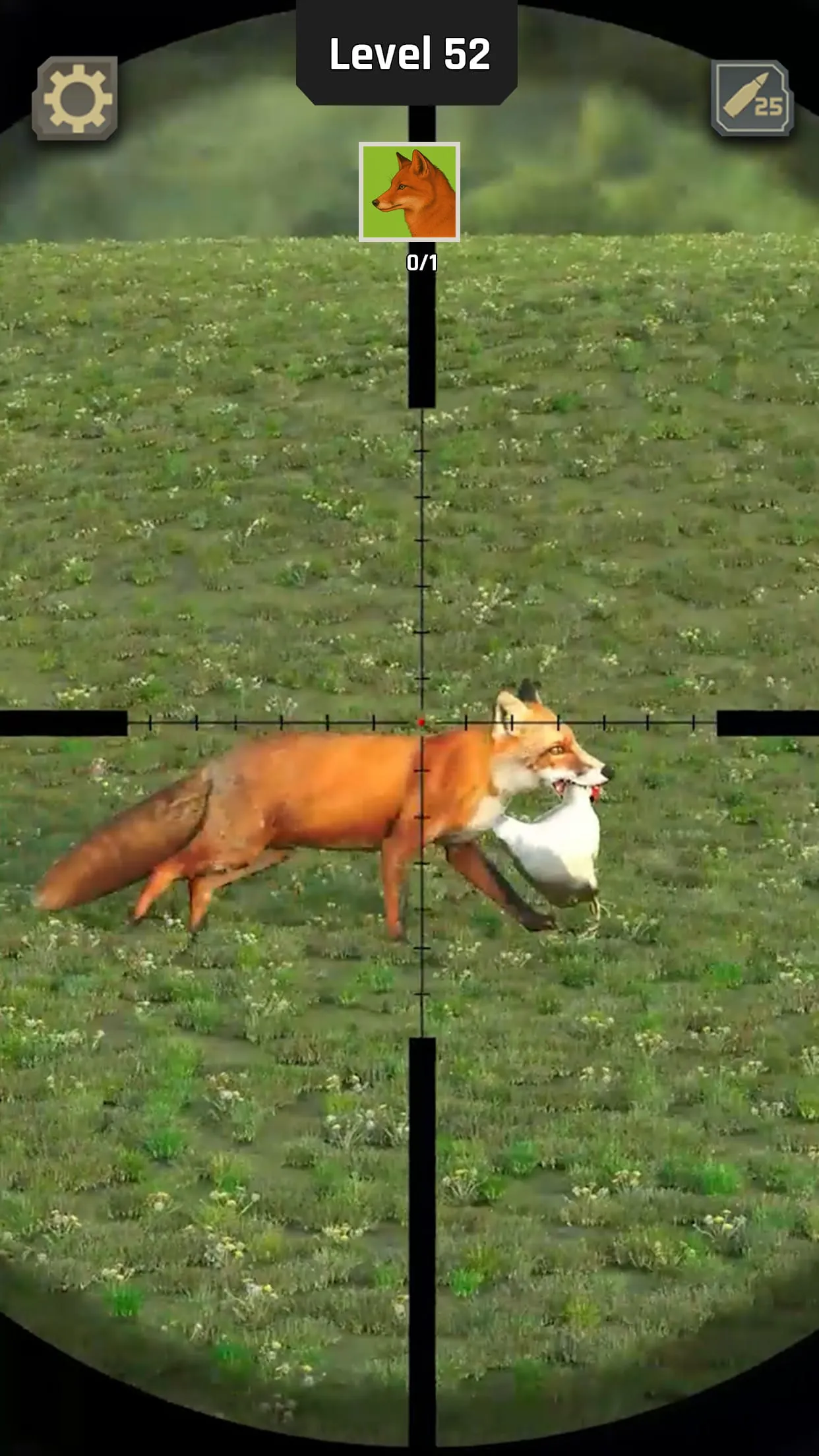Animal Hunter