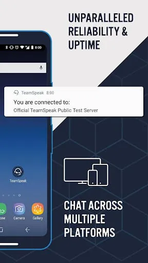 TeamSpeak 3